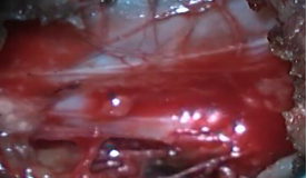 图片8.jpg 图片8.jpg